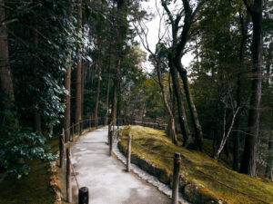 阿里山森林步道不僅是一場自然探索，更是一場心靈SPA。不管你是想挑戰極限還是尋求寧靜，都能在這片森林中找到屬於自己的感動。背上行囊，準備好迎接一場與大自然的浪漫邂逅吧