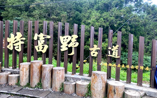 嘉義-特富野-阿里山一日遊