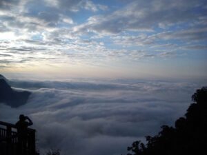 阿里山雲海不僅僅是一種美景，更是一場心靈的洗禮。站在高處俯瞰翻騰的雲霧，你會感受到天地之間的遼闊與靜謐。生活中的煩惱在此刻都變得微不足道，只剩下對自然的敬畏與感動