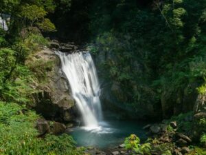 台北-烏來-台北｜一日遊
