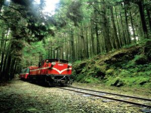 【山城與林鐵的緩慢旅途】嘉義阿里山二日｜ 嘉義&特富野古道&阿里山林鐵火車｜嘉義出發