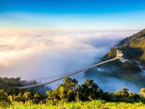 阿里山-太平雲梯-嘉義｜一日遊