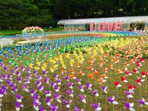 【湖光清境幸福之旅】台中日月潭清境三日｜ 清境&日月潭&九族文化村+遊湖+纜車+清境漫步｜台中出發