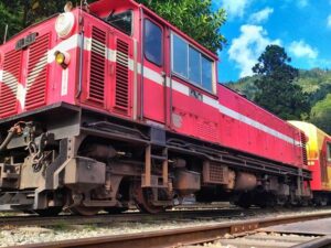 【阿里山小火車全線通車】阿里山二日 阿里山&林鐵小火車+日出觀景｜嘉義出發