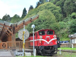 【百年經典森林小火車】阿里山二日｜ 奮起湖&阿里山+日出觀景+林鐵小火車｜嘉義出發