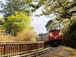 【桃城與林鐵的時光旅程】嘉義阿里山二日｜ 嘉義&阿里山&林鐵火車｜嘉義出發