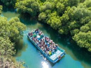 台南一日遊(四草.安平)