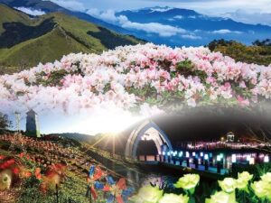 台中-合歡山一日