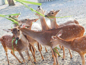 高雄-墾丁一日遊